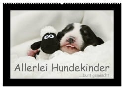 Allerlei Hundekinder (Wandkalender 2026 DIN A2 quer), CALVENDO Monatskalender - Kathrin Köntopp