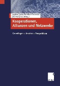 Kooperationen, Allianzen und Netzwerke - 