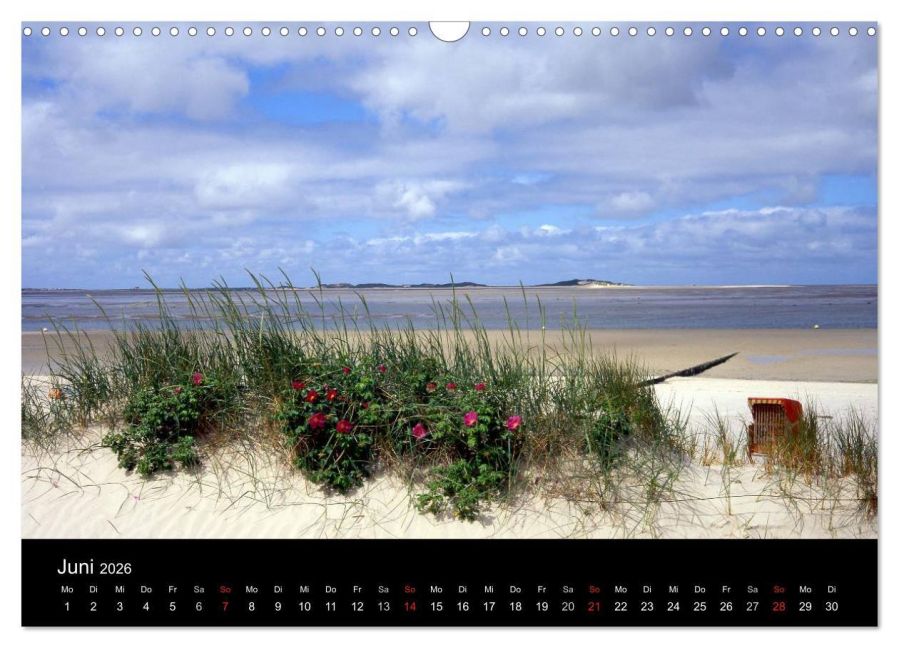 InsideView 11