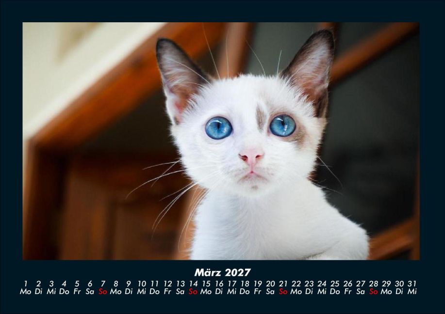 InsideView 7