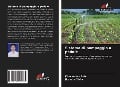 Cover-Bild zum Titel 'Sistema di pompaggio a pedale' von 'Khomendra Sahu, Jitendra Sinha'