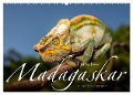 Tierisches Madagaskar (Wandkalender 2025 DIN A2 quer), CALVENDO Monatskalender - Olaf Bruhn