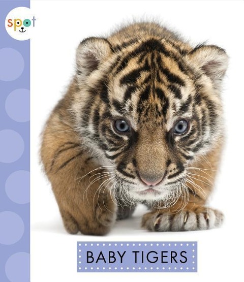 Baby Tigers - K. C. Kelley