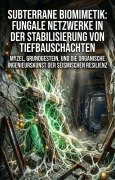 Cover-Bild zum Titel 'Subterrane Biomimetik: Fungale Netzwerke in der Stabilisierung von Tiefbauschächten' von 'Lilian Schmiedt'