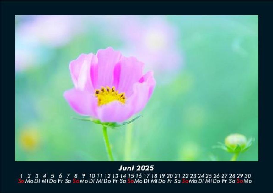 InsideView 10
