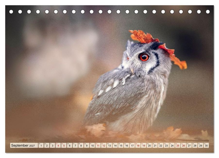 InsideView 14