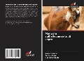 Cover-Bild zum Titel 'Manuale sull'allevamento di capre' von 'Rajesh Kumar, Sanket Patel, Upendra Singh'