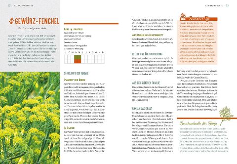 InsideView 5