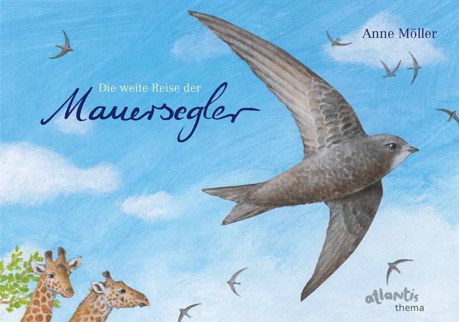 Die weite Reise der Mauersegler - Anne Möller