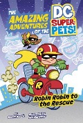 Robin Robin to the Rescue - Steve Korté
