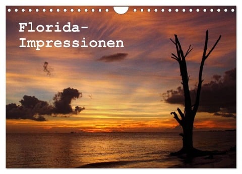 Florida Impressionen (Wandkalender 2024 DIN A4 quer), CALVENDO Monatskalender - Peter Schürholz