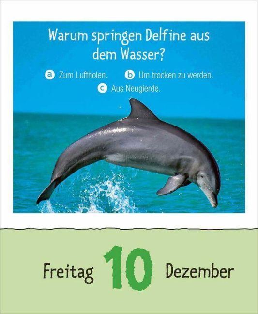InsideView 13
