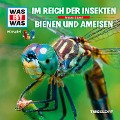 WAS IST WAS Hörspiel. Im Reich der Insekten / Bienen und Ameisen - Kurt Haderer, Jan Hameyer, Günther Illi