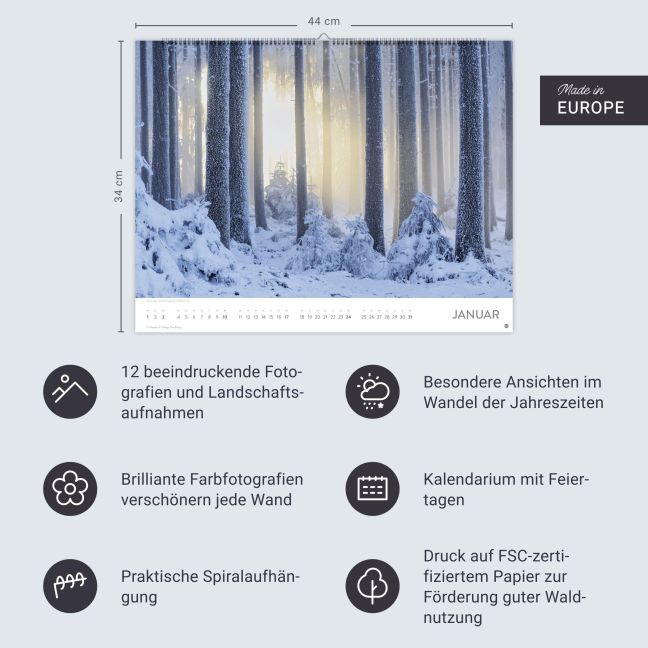 InsideView 13