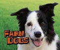 Farm Dogs - Kathryn Clay