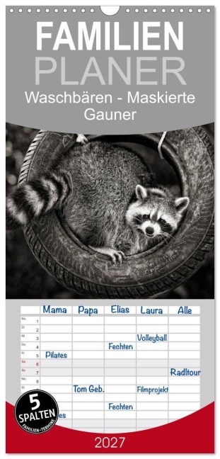 Familienplaner 2027 - Waschbären - Maskierte Gauner mit 5 Spalten (Wandkalender, 21 x 45 cm) CALVENDO - Klaus-Peter Selzer