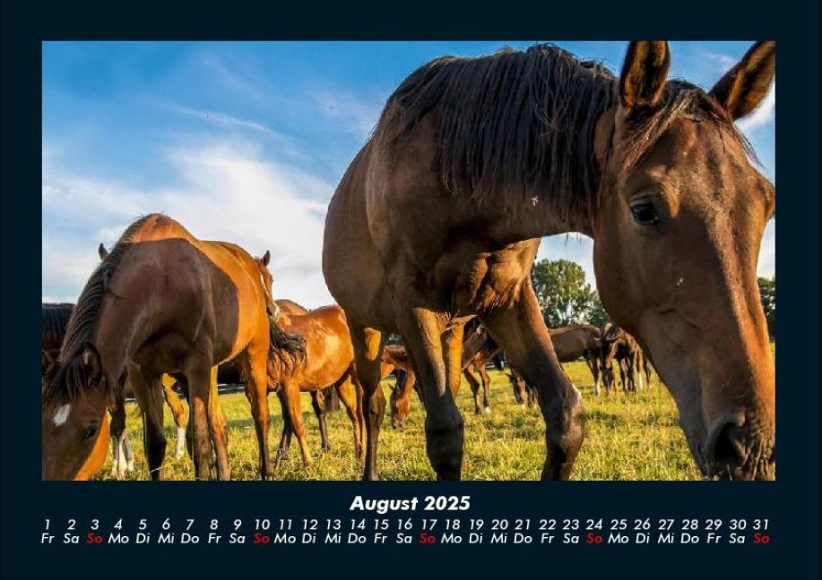 InsideView 12