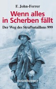 Cover-Bild zum Titel 'Wenn alles in Scherben fällt' von 'F. John-Ferrer'