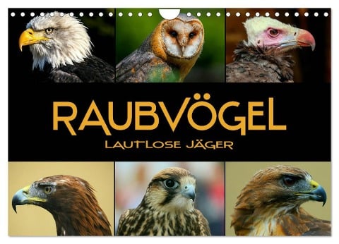Raubvögel - lautlose Jäger (Wandkalender 2024 DIN A4 quer), CALVENDO Monatskalender - Renate Bleicher