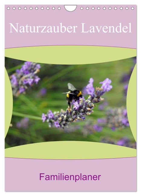 Naturzauber Lavendel - Familienplaner (Wandkalender 2026 DIN A4 hoch), CALVENDO Monatskalender - Babett Paul - Babett's Bildergalerie