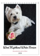 West Highland White Terrier - Herzensbrecher auf vier Pfoten (Tischkalender 2026 DIN A5 hoch), CALVENDO Monatskalender - Angela Rohde