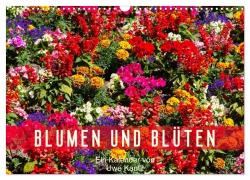 Cover-Bild zum Titel 'Blumen und Blüten (Wandkalender 2026 DIN A3 quer), CALVENDO Monatskalender' von 'Uwe Kantz'