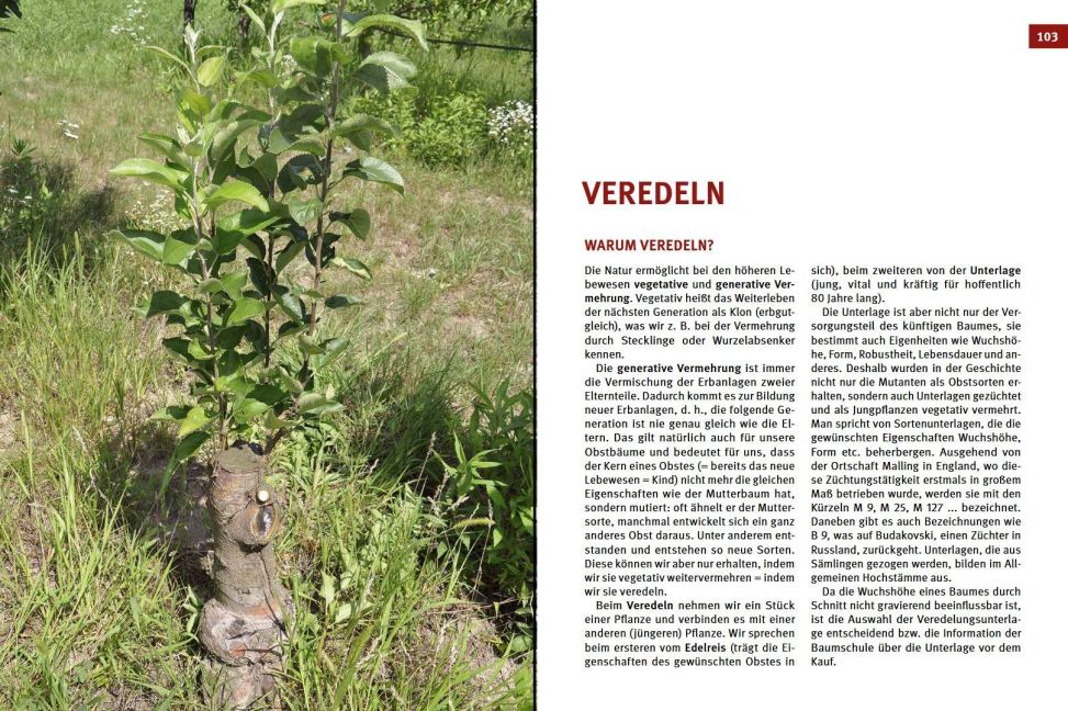 InsideView 4