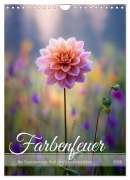 Farbenfeuer (Wandkalender 2026 DIN A4 hoch), CALVENDO Monatskalender - Steffen Gierok-Latniak