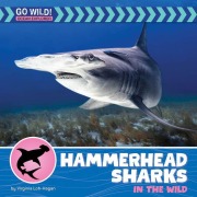 Cover-Bild zum Titel 'Hammerhead Sharks in the Wild' von 'Virginia Loh-Hagan'