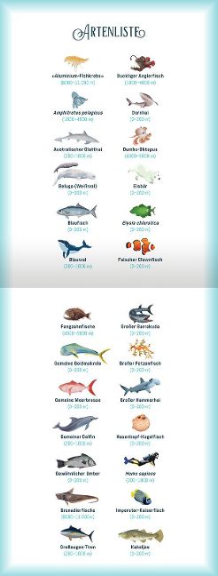 InsideView 5