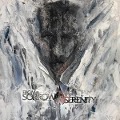 Cover-Bild zum Titel 'Reclaim' von 'From Sorrow To Serenity'