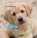 Cover-Bild zum Titel 'Vom Welpen zum Hund. Kreislauf des Lebens' von 'Camilla de la Bédoyère'