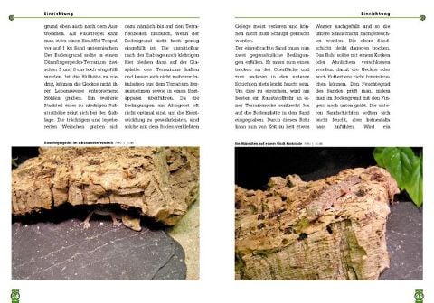 InsideView 3