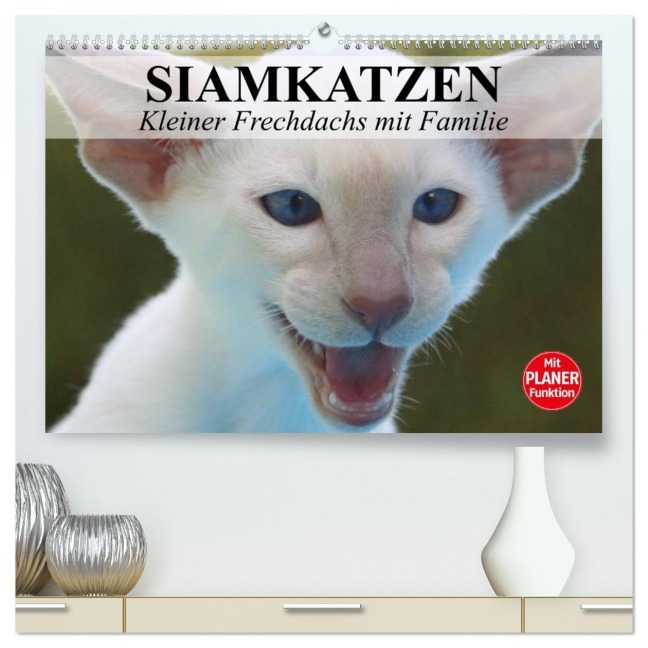 Siamkatzen - Kleiner Frechdachs mit Familie (hochwertiger Premium Wandkalender 2026 DIN A2 quer), Kunstdruck in Hochglanz - Elisabeth Stanzer