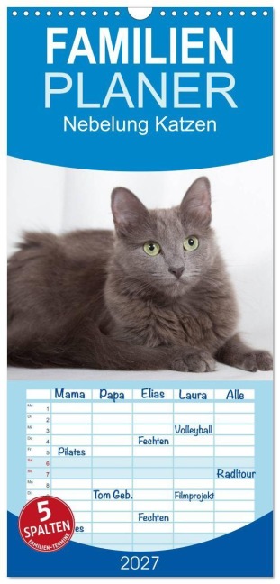 Familienplaner 2027 - Nebelung Katzen mit 5 Spalten (Wandkalender, 21 x 45 cm) CALVENDO - Fotodesign Verena Scholze