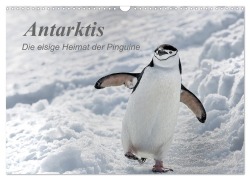 Antarktis, die eisige Heimat der Pinguine (Wandkalender 2026 DIN A3 quer), CALVENDO Monatskalender - Michèle Junio