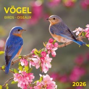 Heimische Vögel 2026 - 