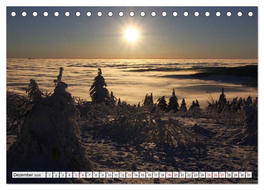 InsideView 4