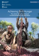 Cover-Bild zum Titel 'Achieving Zero Hunger: The Critical Role of Investments in Social Protection and Agriculture. Second Edition' von 'FAOoftheUN'