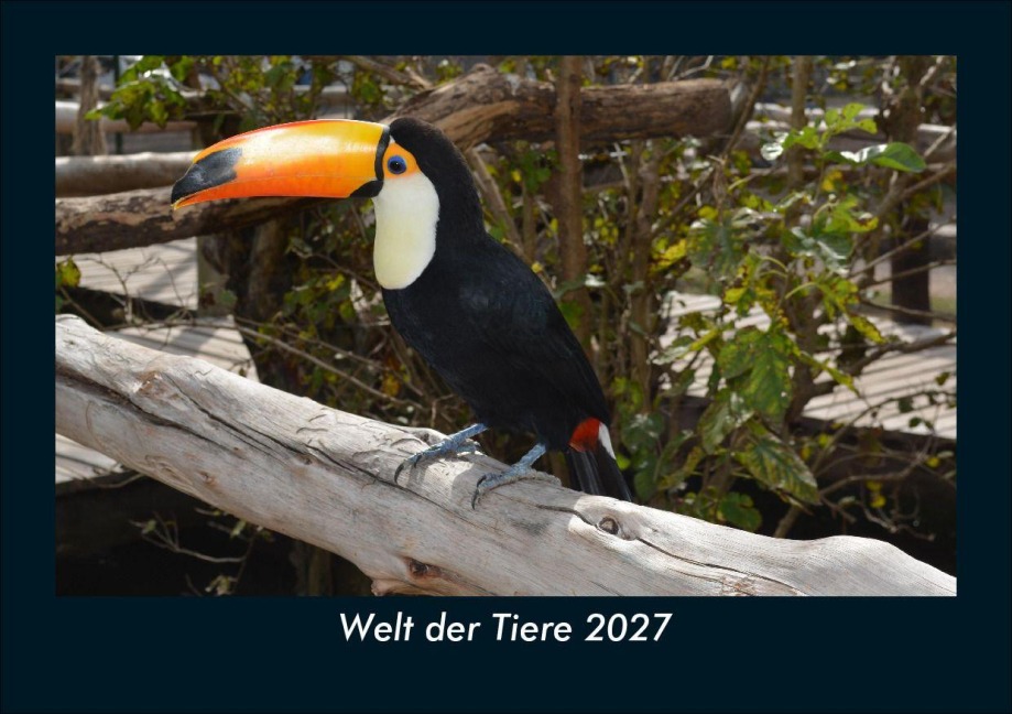 Welt der Tiere 2027 Fotokalender DIN A5 - Tobias Schmitt, Kevin Heber