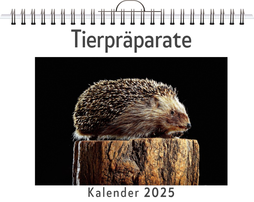 Tierpräparate - Paul Schneider