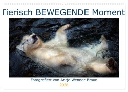 Cover-Bild zum Titel 'Tierisch BEWEGENDE Momente (Wandkalender 2026 DIN A2 quer), CALVENDO Monatskalender' von 'Antje Wenner-Braun'