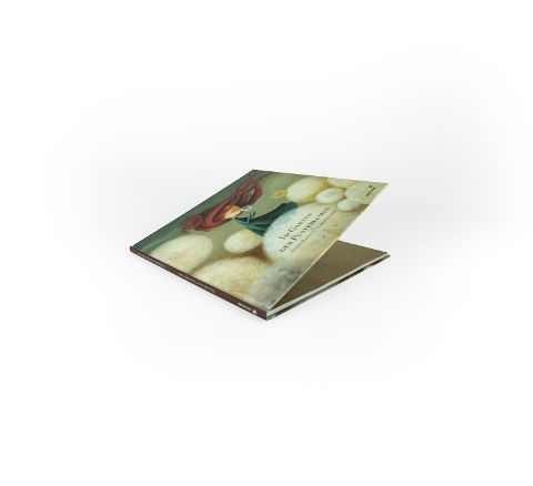 InsideView 5