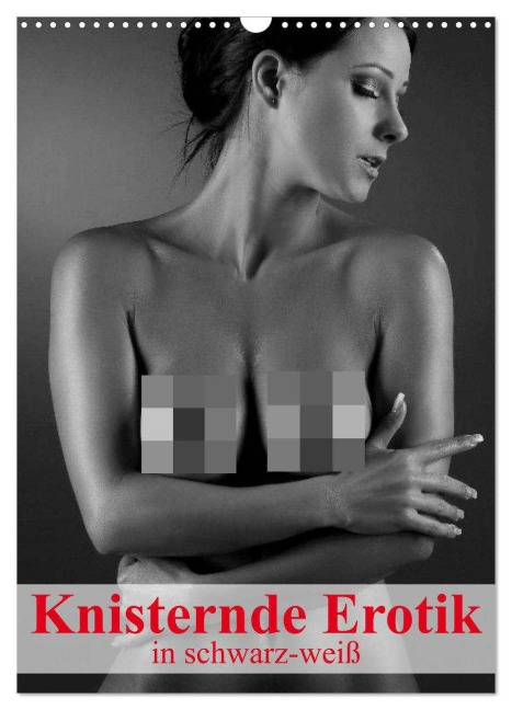 Knisternde Erotik in schwarz-weiß (Wandkalender 2026 DIN A3 hoch), CALVENDO Monatskalender - Elisabeth Stanzer