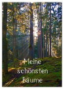 Cover-Bild zum Titel 'Meine schönsten Bäume (Wandkalender 2026 DIN A2 hoch), CALVENDO Monatskalender' von 'Christa Kramer'