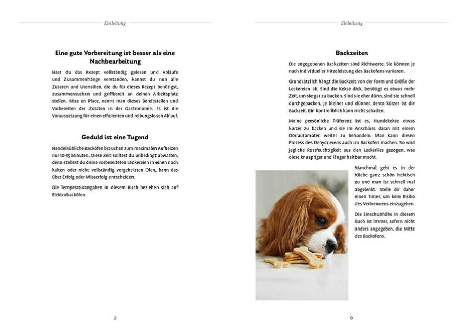 InsideView 4