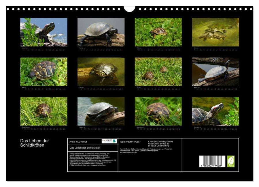 InsideView 5