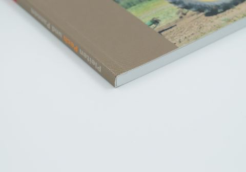 InsideView 2