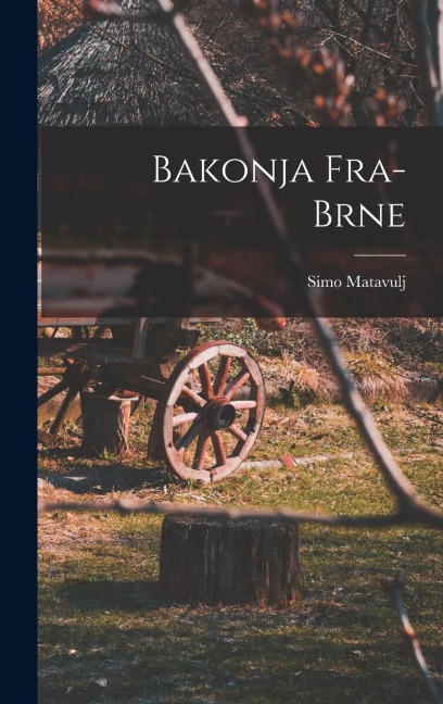 Bakonja Fra-brne - Simo Matavulj