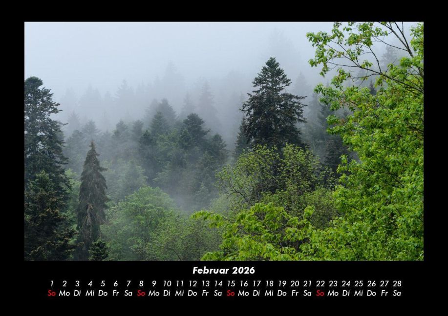 InsideView 6